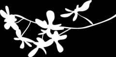 凝心聚力，超越夢(mèng)想——五礦物業(yè)惠州公司開展2018年員工拓展活動(dòng)