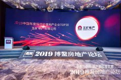 “精準布局 穩(wěn)健前行”| 五礦地產(chǎn)榮獲“2019中國年度投資價值地產(chǎn)企業(yè)TOP30”